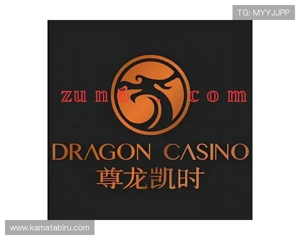 跟随尊龙凯时人生就是搏的步伐走向辉煌未来